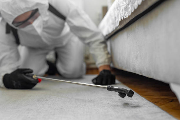 Professional Pest Control technician working in Ocala, FL