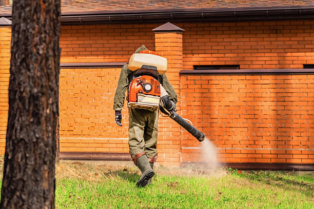 Trusted Termite Control service in Ocala, FL - Nex Pest Control
